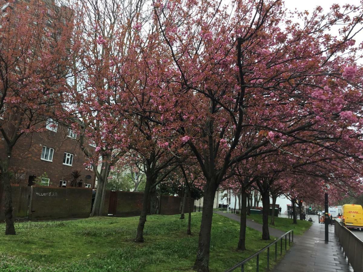 Al Iram Affittacamere Londra